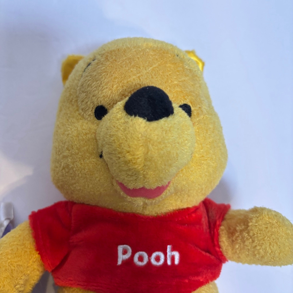 Disney Winnie the Pooh Bear Plush 11” Lovey Rattle Toy Soft Stuffed Animal - Picture 3 of 12